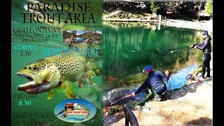 Paradise Trout Area
