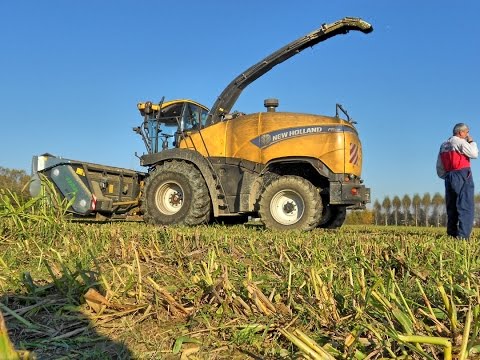 SILATO 2015 NEW HOLLAND FR 600+ DOMAI MPD 612 | CASE 1190 1195 CVX