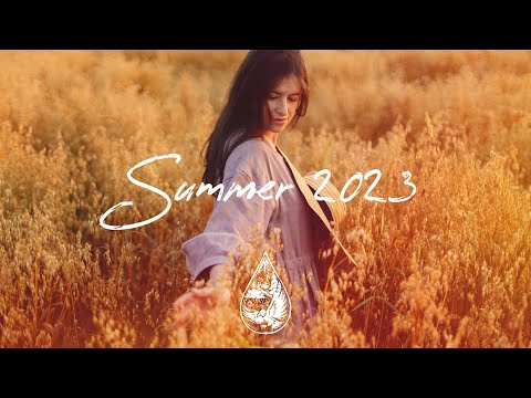 Indie/Indie-Folk Compilation - Summer 2023 ☀️ (2-Hour Playlist)