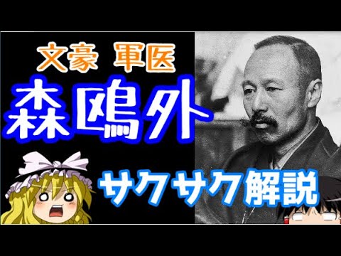 森について詳しく解説