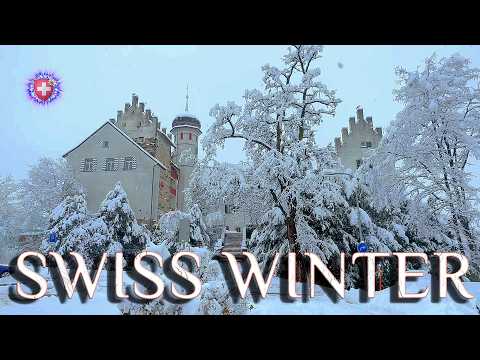 SCHNEEFALL in der SCHWEIZ ✨ Schloss & Wald Wintermärchen / Bürglen Thurgau 4K Wandertour