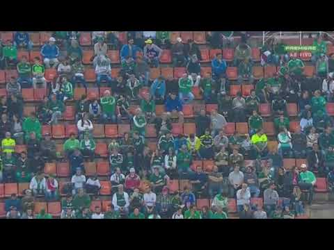 Melhores momentos de palmeiras 6 x 2 csa