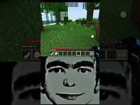 Scary Chicken 666 😱😱 #viral #edit #gaming #minecraft #666 #music