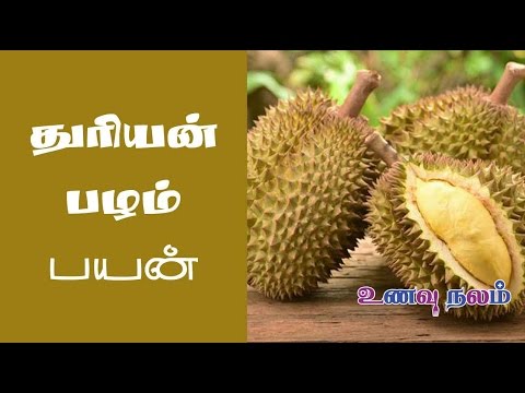 Durian Fruits Benefits