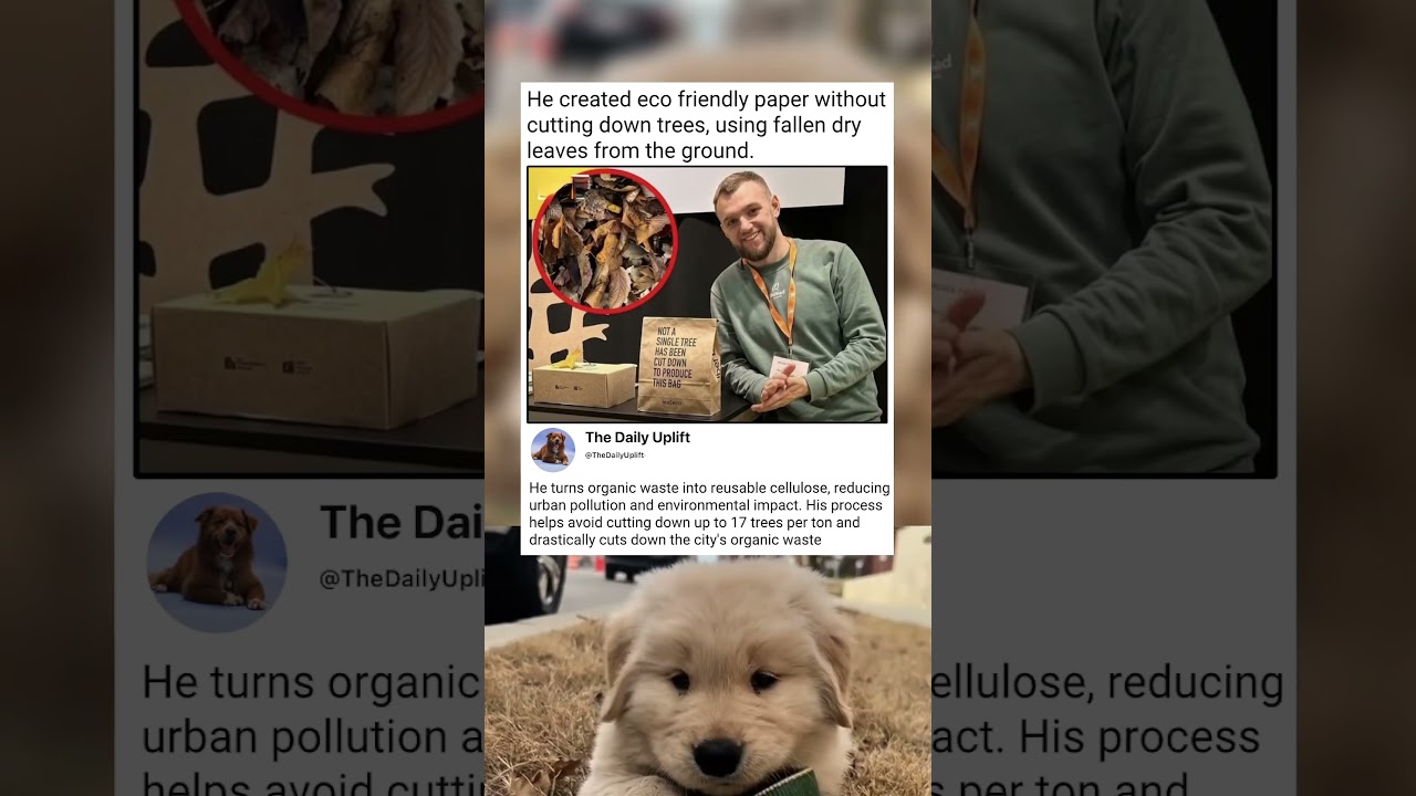 This innovation has gained international recognition