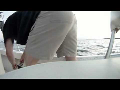 Big Fish Little Hooks