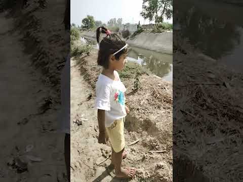 #vanshu mama ke khet par# 😊😊