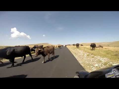 Transbucegi - Romania traseu cu motocicleta