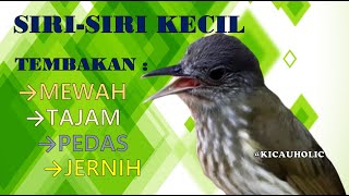 Download lagu MASTERAN SIRI SIRI KECIL TEMBAKAN PEDAS DAN TAJAM mp3