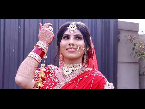 highlight nature /jashan