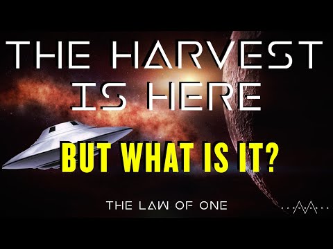 The Harvest // Law Of One 010