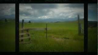 preview picture of video 'Upper Moutere|0276606801|NZ Tasman 7173|Land|hotproperty|call Mike Harvey|lifestyle|selling now|go'