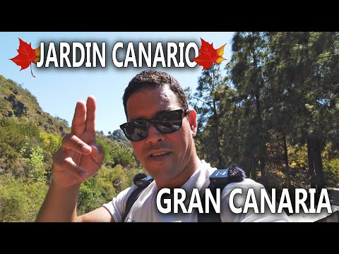 GRAN CANARIA🇪🇸 🍁JARDIN CANARIO🍁 JARDIN BOTANICO VIERA Y CLAVIJO, maio de 2022.