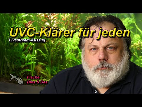 UVC-KLÄRER - Jeder sollte ein solches Gerät in seinem Aquarienschrank liegen haben
