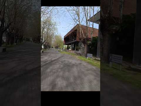 Universidad del Bío-Bío VI_2025