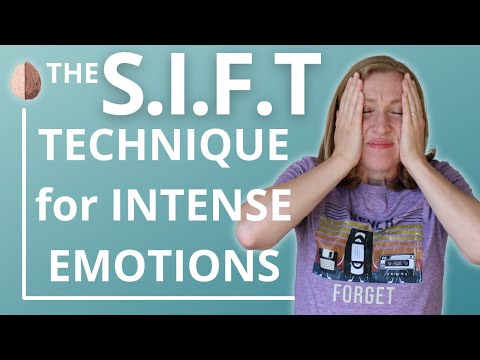 Die SIFT-Technik zur Emotionsverarbeitung: Dr. Daniel Siegel und das Whole-Brain Child