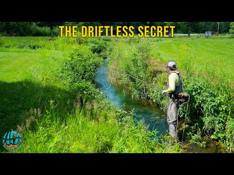 Nobody Fishes Here... And It's Their Loss (Trout Fishing the Driftless)