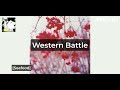 Seafood - Western Battle [karaoke]
