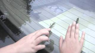 Girls Playing With Green Anole Lizards
