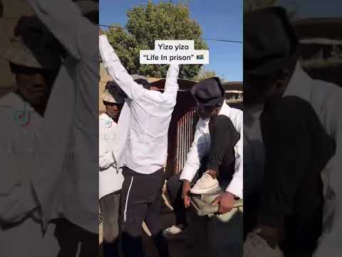 Yizo Yizo and number number tik Tok Compilation (mr double d2]