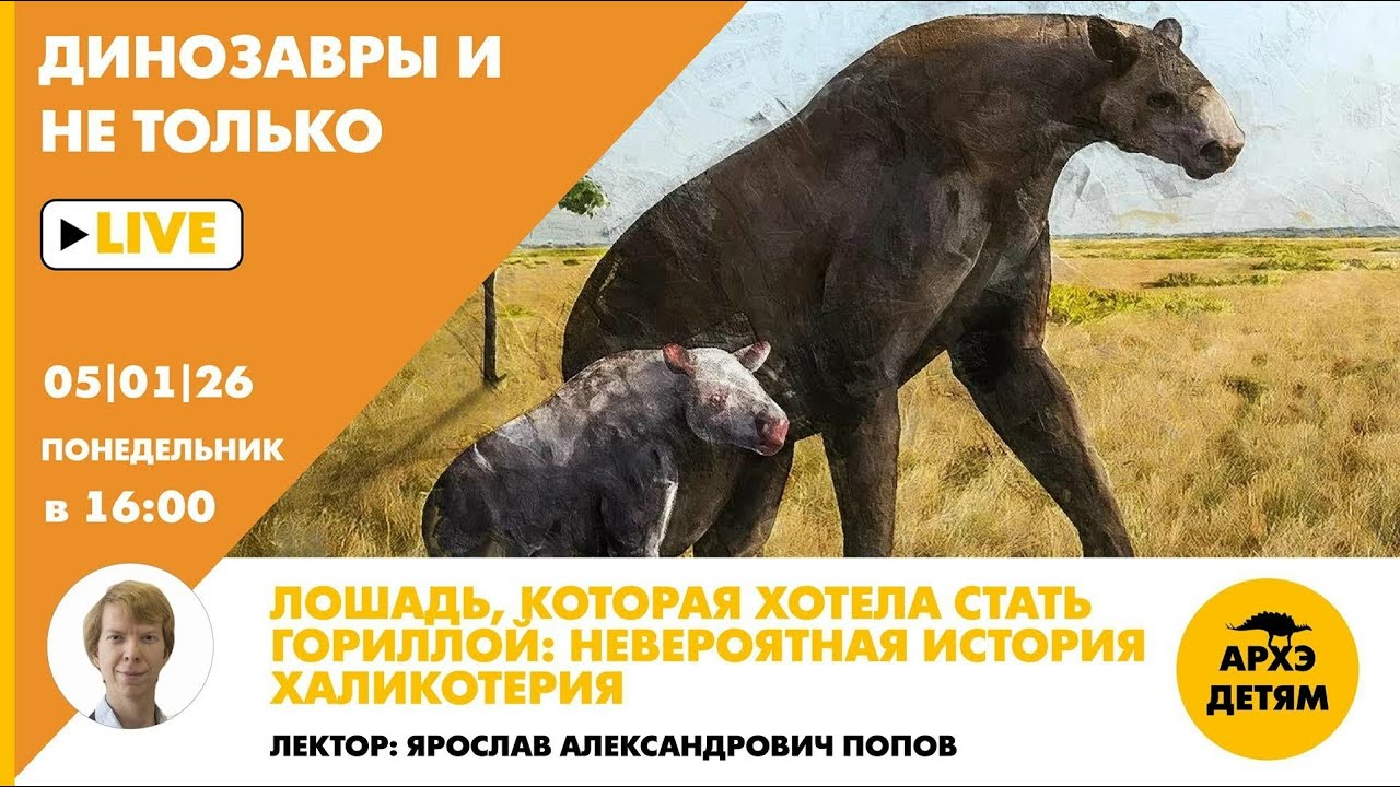 Занятие "Лошадь, которая хотела стать гориллой: невероятная история халикот?