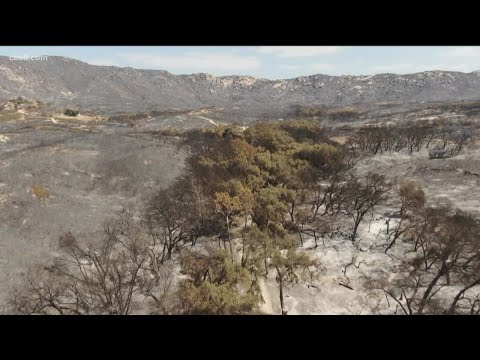 San Diego's top stories for Friday, September 18, 2020 at 6 p.m.