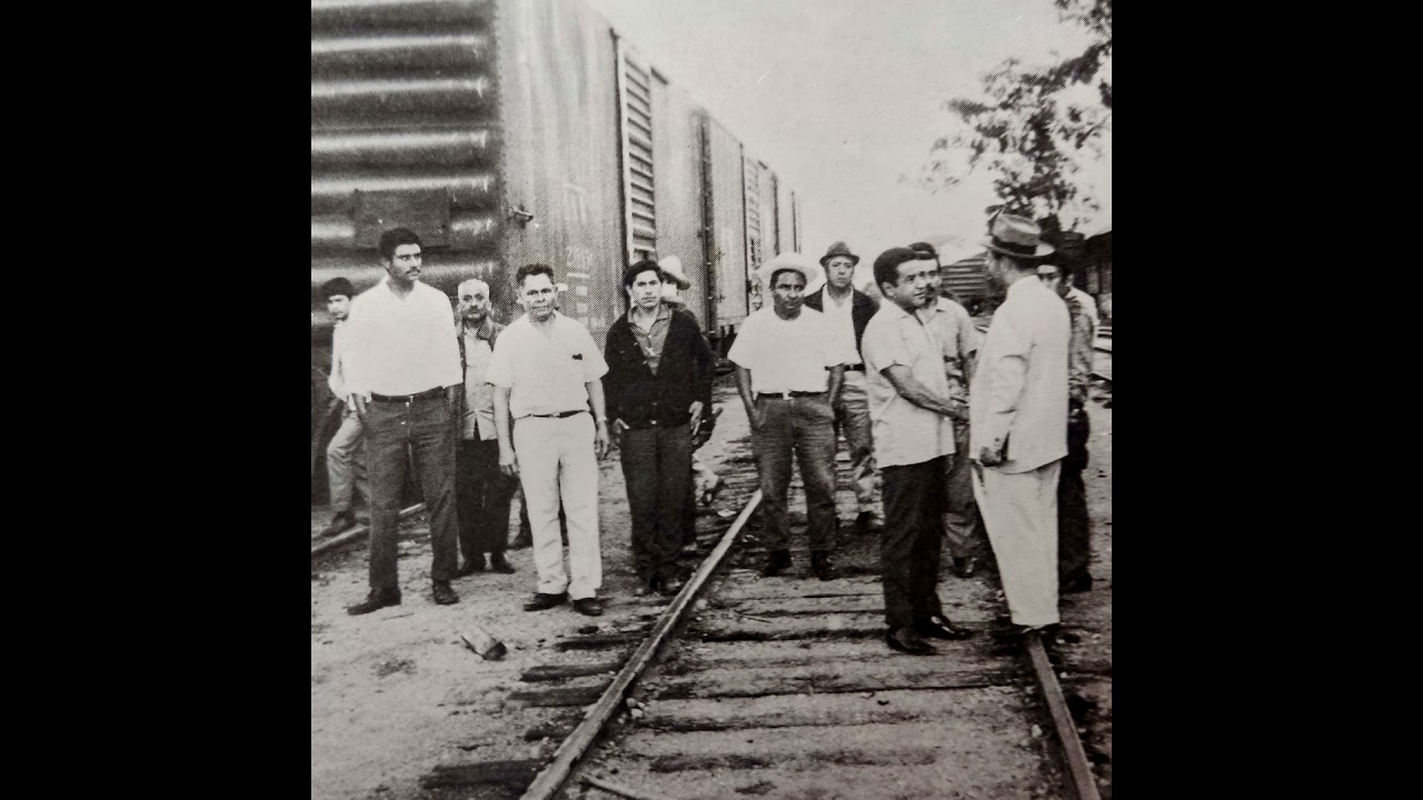Cooperativa con principios verdes