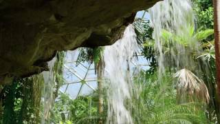 What Makes the Garden Green