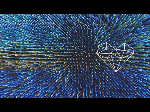 Mood Gorning - Flying Whales (Original Mix) [Deep House / Family Piknik Music]