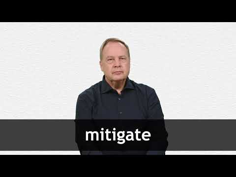 What does mitigate mean online