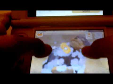 Nintendogs : Teckel & ses Amis Nintendo DS
