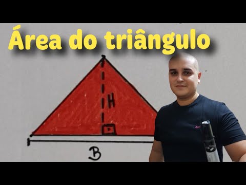 06 Area of plane figures: Area of the triangle