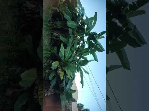 Fernandes Tourinho Minas