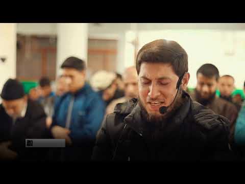 Recitim shumë emocional 😭❤ | Surja ez-Zumer (68:75)