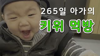 [생후 265일] 265일 아가의 키위먹방