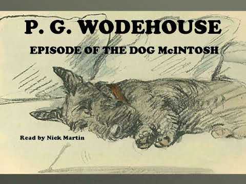 P. G. Wodehouse, Episode of the dog McIntosh. Short story read by Nick Martin