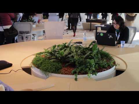 Inaugurazione Microsoft House