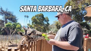 Exploring California: Amtrak Surfliner to Santa Barbara + Zoo & LandShark Tour 🚆🦁🛥️