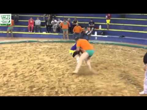 Vídeos de algunas agarradas de la luchada "Maninidra vs. U. Doctoral"