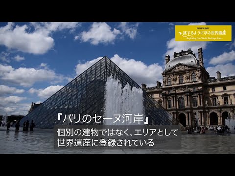 サベナについて詳しく解説