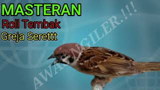 Download lagu #Masteranburung #Burunggreja #Kicau Suara greja seret masteran pilihan 2022 Top one mp3 Download lagu #Masteranburung #Burunggreja #Kicau Suara greja seret masteran pilihan 2022 Top one mp3