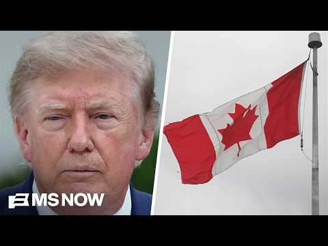 'Lies and smears about Canada are offensive': REACTION to Trump's trade war