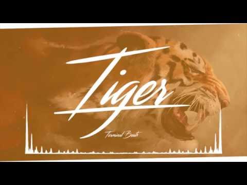 Hard Trap Beat With Bass - "Tiger" - Prod. By Terminal Beats