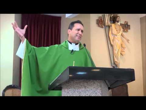 homilia 22 de julio 2012