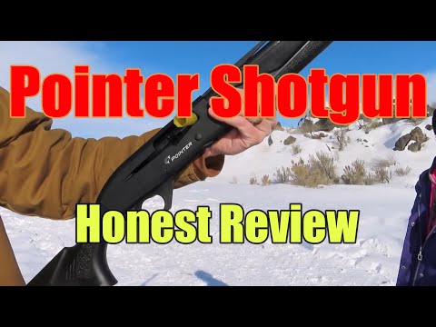 Speed Shooting the Pointer Acrius