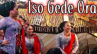 Download lagu Elisha & Tatin suaranya sangat merdu bikin pak Seno ketawa mp3 Download lagu Elisha & Tatin suaranya sangat merdu bikin pak Seno ketawa mp3