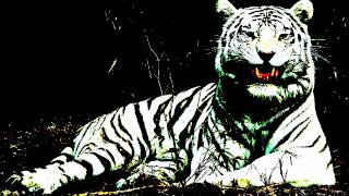 El Ayudante (Los Gavilleros De La Sierra) Lyrics English Translation