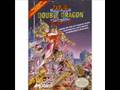 Double Dragon II Arranged Mission 5