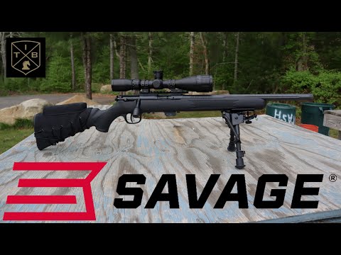 Savage Mark II .22 LR Review | Incredible Accuracy