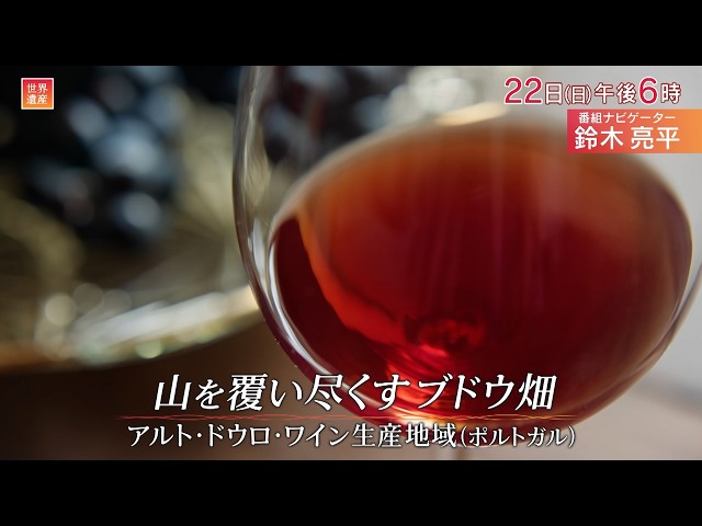 世界遺産〜ポルトガル／絶景のブドウ畑🈖🈑